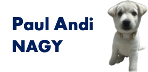 Paul Andi NAGY